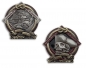 Preview: 2021 Pirate Geocoin - Courage - two-tone