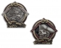 Preview: 2021 Pirate Geocoin- Courage - two-tone