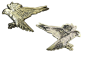 Preview: Spirit of Hawks Geocoin - antique bronze