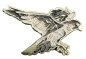 Preview: Spirit of Hawks Geocoin - antique bronze
