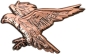 Preview: Spirit of Hawks Geocoin - antique copper