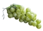 Preview: Geocaching Grapes Hide - green