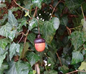 Small wooden acorn