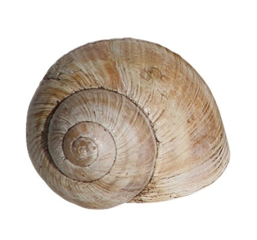 Schnecke Nano Cachebehälter - groß