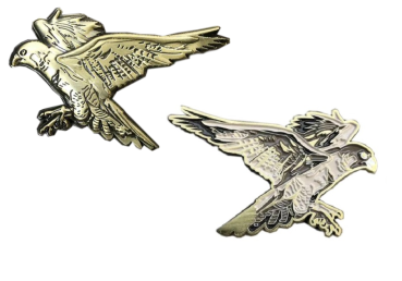 Spirit of Hawks Geocoin - antique bronze
