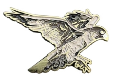 Spirit of Hawks Geocoin - antique bronze