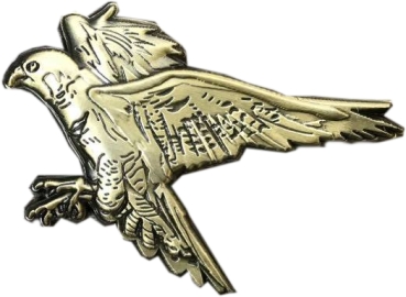 Spirit of Hawks Geocoin - antik bronze