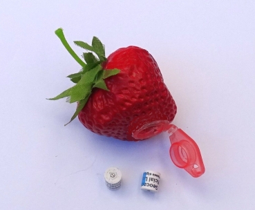 Strawberry Geocache Hide