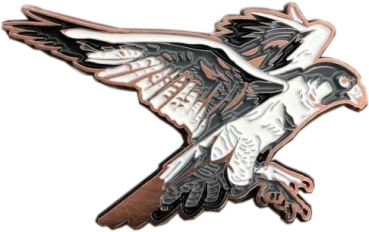 Spirit of Hawks Geocoin - antique copper
