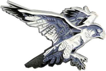 Spirit of Hawks Geocoin - antik silber