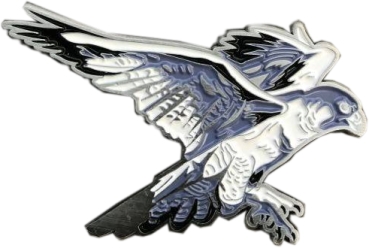 Spirit of Hawks Geocoin - antique silver