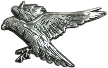 Spirit of Hawks Geocoin - antique silver