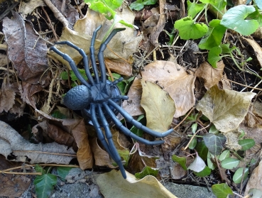 Spider with Petling Geocache