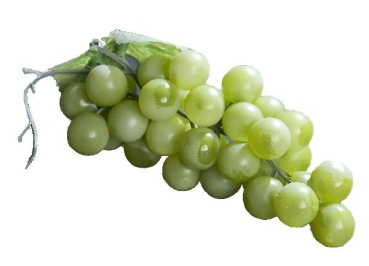 Geocaching Grapes Hide - green