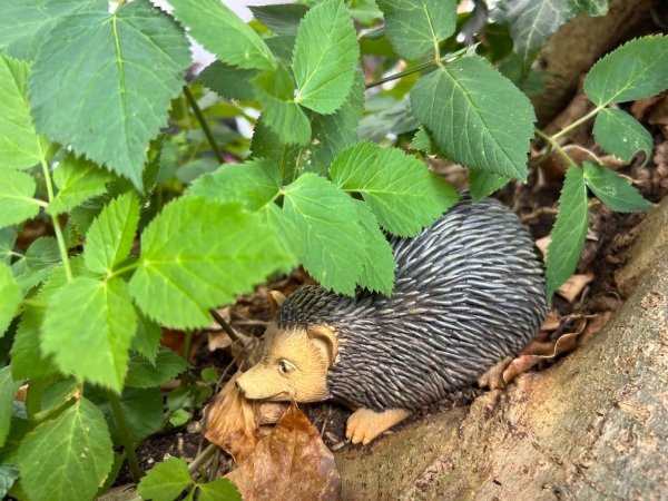 Igel Cache Container – Naturgetreues Tarnversteck für Geocaches