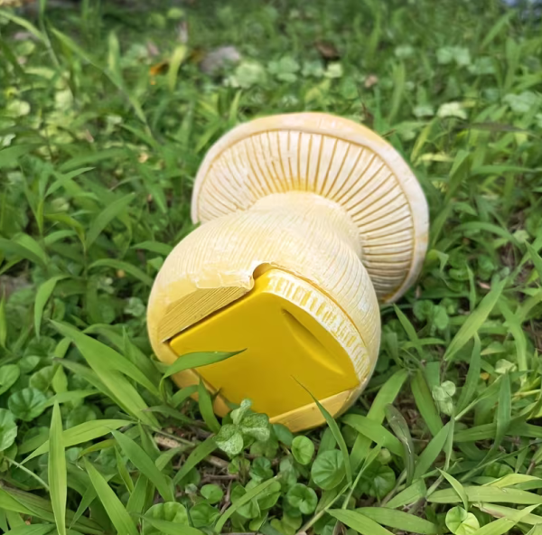 Pilz Geocaching Versteck