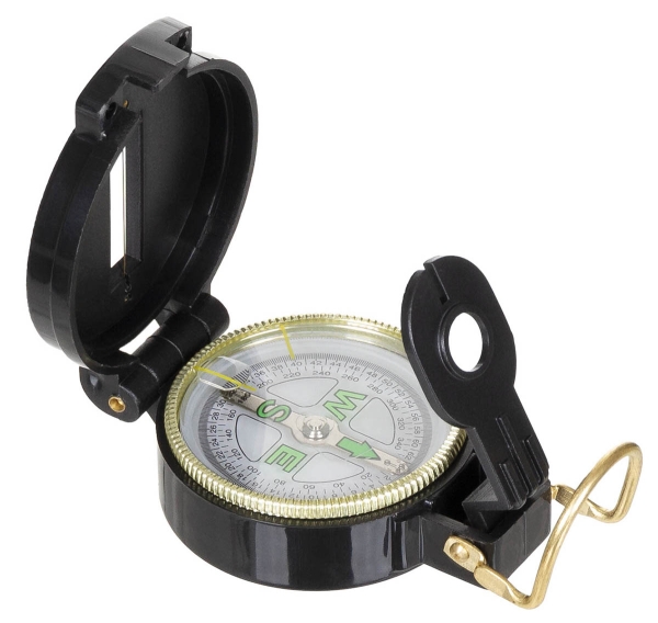 Compass with sighting device