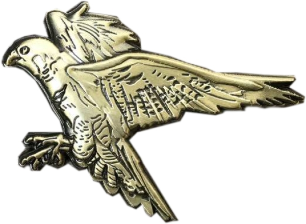 Spirit of Hawks Geocoin - antique bronze