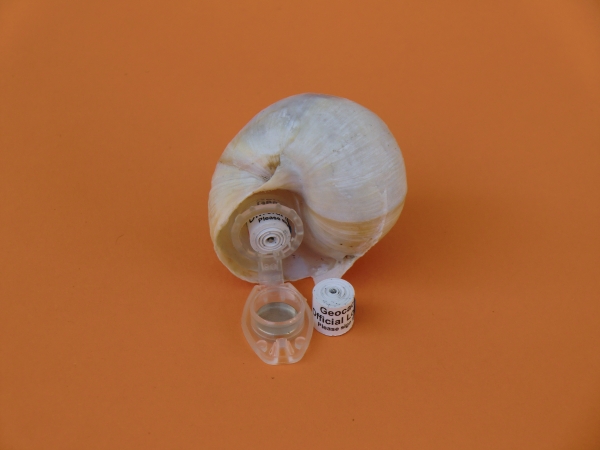 Snail Nano Cache Container - big