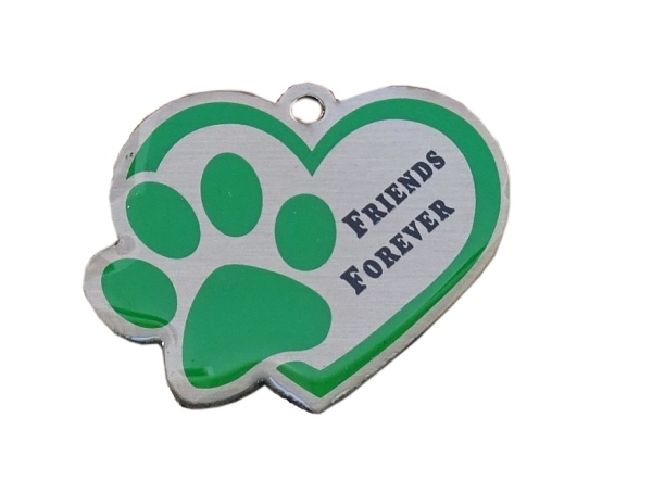 Friends Forever Travel Tag - green