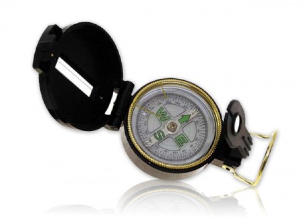 Compass with sighting device