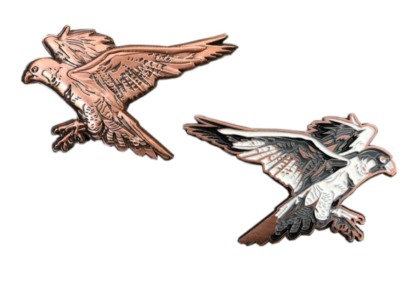Spirit of Hawks Geocoin - antique copper