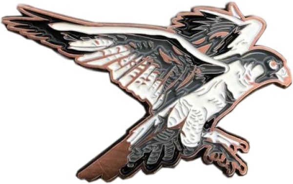 Spirit of Hawks Geocoin - antik kupfer