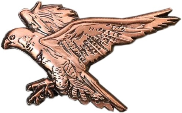 Spirit of Hawks Geocoin - antique copper